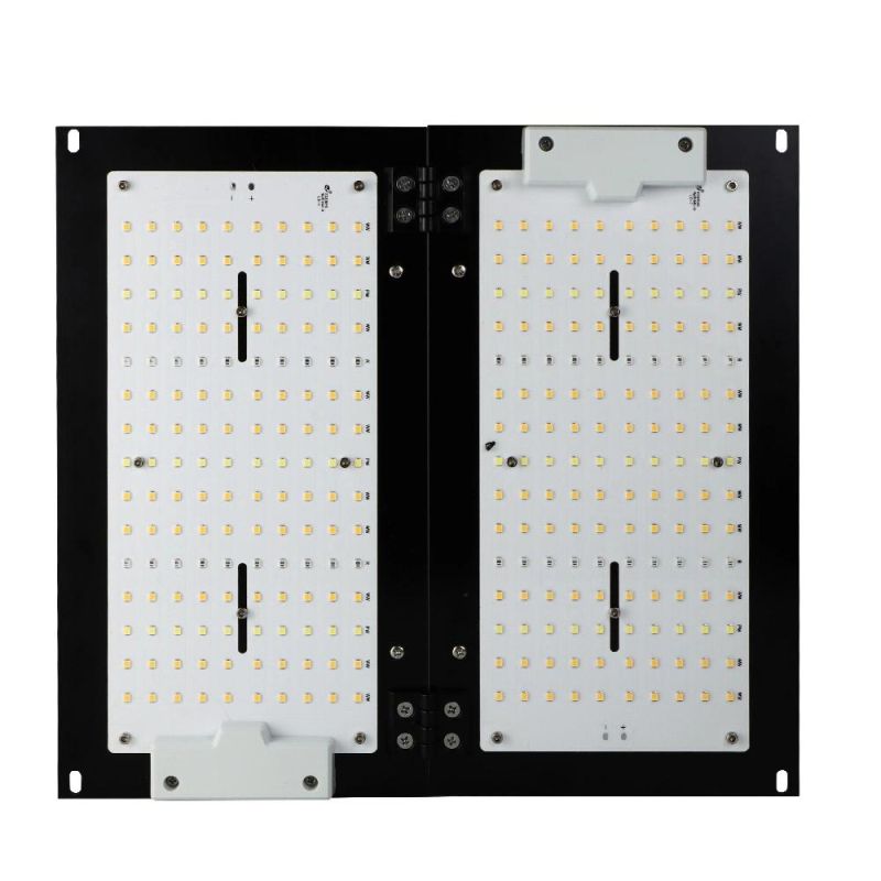 LED Grow Light LED Grow Panel 120W for Greenhouse Planting, Horticulture Light for Farming with CSA, RoHS