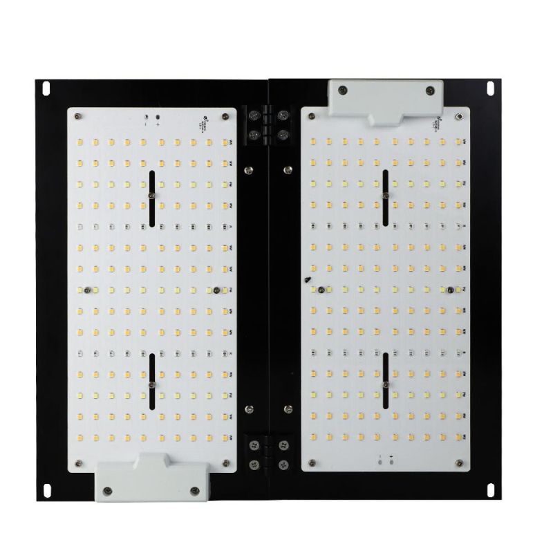2020 Quantum Lm301b LED Grow Light for Indoor Plants 240W for Sale LED Grow Panel & CE