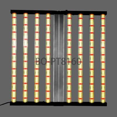 Bonfire 600W LED High Power LED Grow Light Suit in The Greenhourse