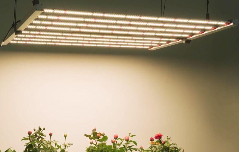 Ilummini LED Full Spectrum Indoor Plant Lamp Growing and Flowering Plant LED 640W Grow Light