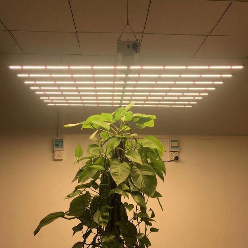 220V Collapsible 480watt LED Plants Growth Light with 6bars
