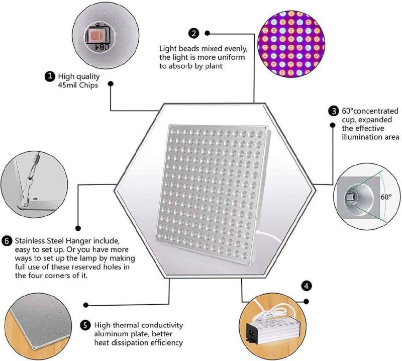 Jlp-Gl1 LED Grow Light for Indoor Plants Full Spectrum Plant Light for Seedling, Hydroponic, Greenhouse, Succulents, Flower