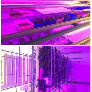 Indoor Hydroponic Growing Systems CE RoHS LED 0.6m 1.2m T8 Plant Grow Light Tube for Tomato and Flowers