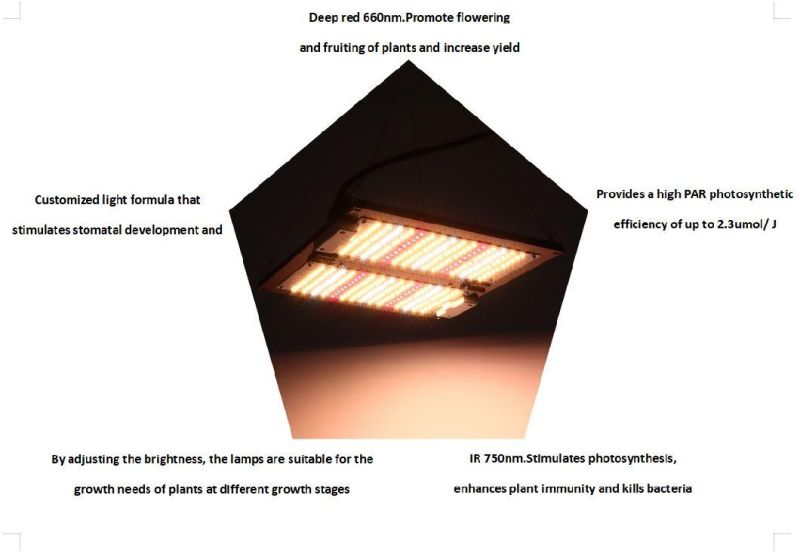 Custom Waterproof Full Spectrum High Bay PAR Panel Grow Lamp LED Plant Light with SAA, RoHS