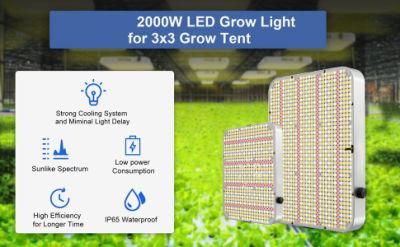 2022 Best 260W Full Spectrum Inner Quiet Fan DIY Hanging Plant Growing Lamps Quantum Board for Indoor Plants, Seed Starting, Succulents, Veg, Herbs