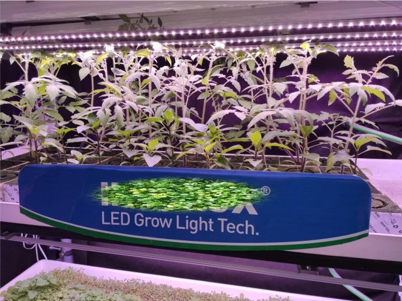 Low Power Indoor 48W LED Grow Light for Plant Veg Bloom with RoHS