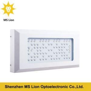 Full Spectrum 80*3W High Power 240W LED Grow Light