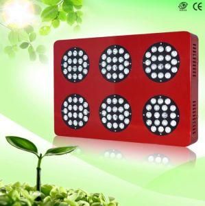High Quality 300W Znet6 LED Grow Light, Integrated LED Grow Lights