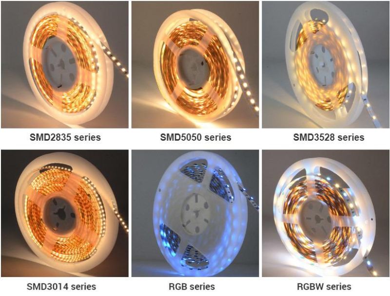 Top5 LED strip manufacture 5050 60LEDs RGB constant current 24V LED strip.