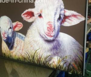 Slim Light Box LED Panel Lighting (Model 2800) !