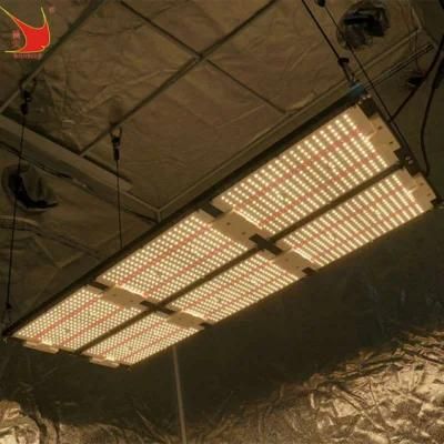 UL Certificate 600W LED Grow Panel Light Red for Indoor Farm Greenhouse Plant Growing