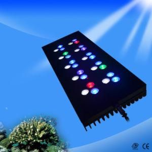 90W CREE LED Dimmable Aquarium Lights for Coral