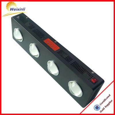 Good Quality Cheap LED Grow Light for Corn Tomato