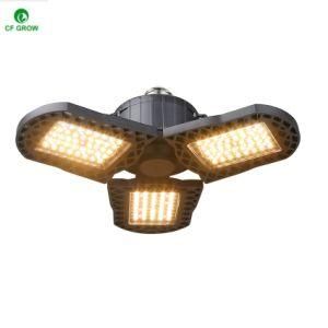 Unique Fan Shape 50W Spydr Bar Type High Ppf 320W 640W 800W 1000W Indoor Medical Plant LED Grow Light