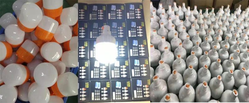 30W 60W 80W 100W LED Emergency Light Bulb Rechargeable by USD & Solar Panel
