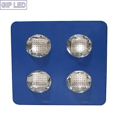 OEM Full Spectrum COB LED Grow Light 100W 500W 800W 1000W