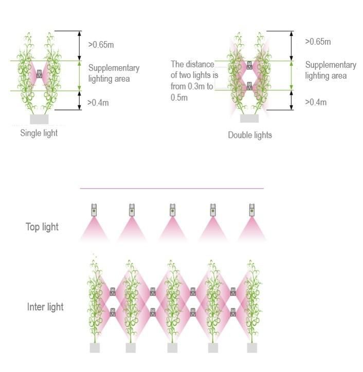 Greenhouse Inter Light Double Sides Lighting LED Grow Light for Tomatoes and Cucumbers