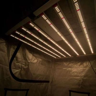 Best Price High Ppf 640W 800W Hydro Lm301b Lm301h LED Grow Tent Light