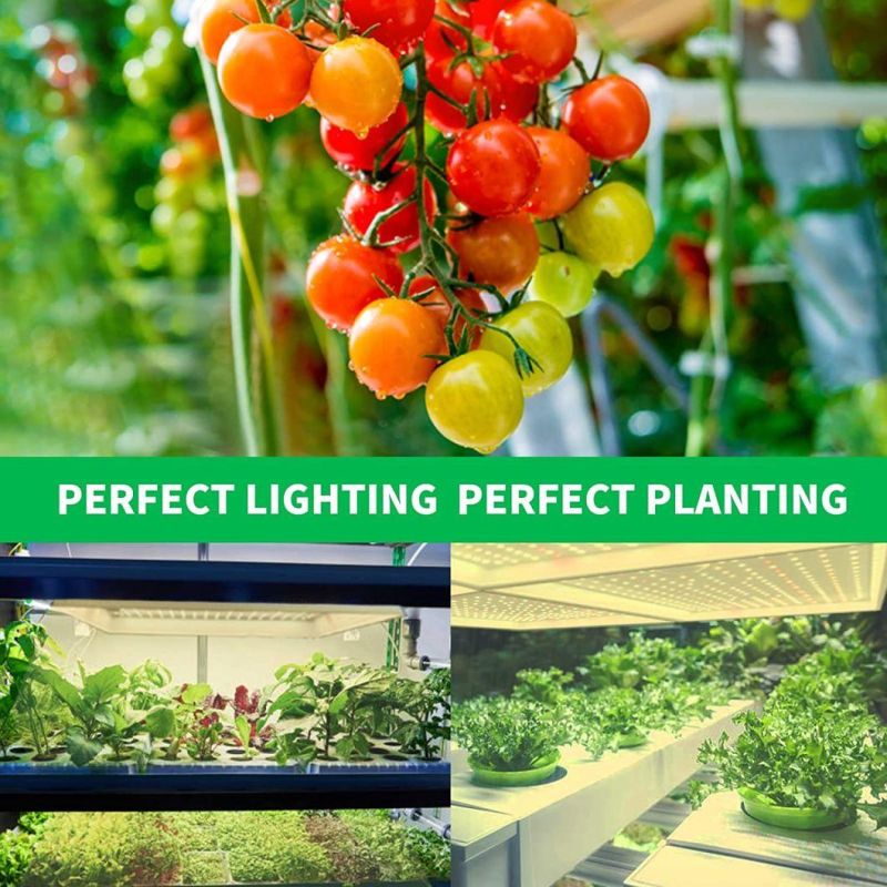 UL Certificate 100W 200W 400W 600W LED Grow Panel Light Red for Indoor Farm Greenhouse Plant Growing