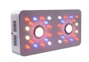 Top Sale 900W Factory Direct Supply 3590 COB LED Grow Light