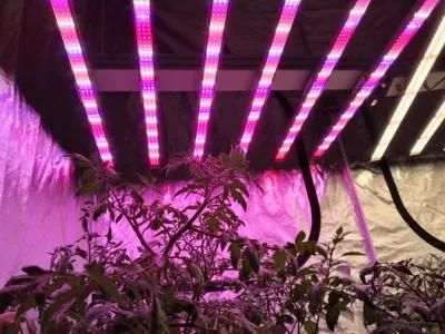 400W/600W/800W/1000W LED Grow Light for Medical Plants Commercial Industry Growth