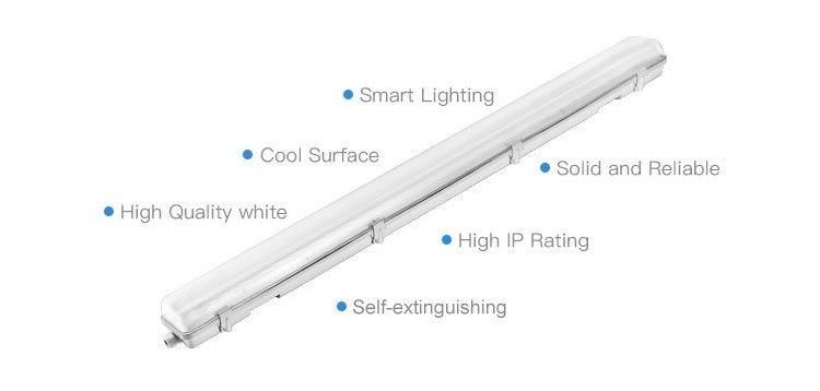 IP65 T8 Weatherproof Light Bracket with Ce RoHS & UL