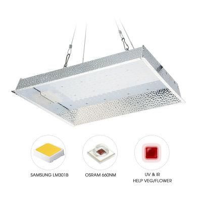 Agricultural Full Spectrum LED Grow Light for Hydroponic Greenhouse Planting