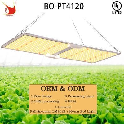 Bonfire LED Board 3 Years Warranty 200W Red LED Growth Lamp with UL Certification