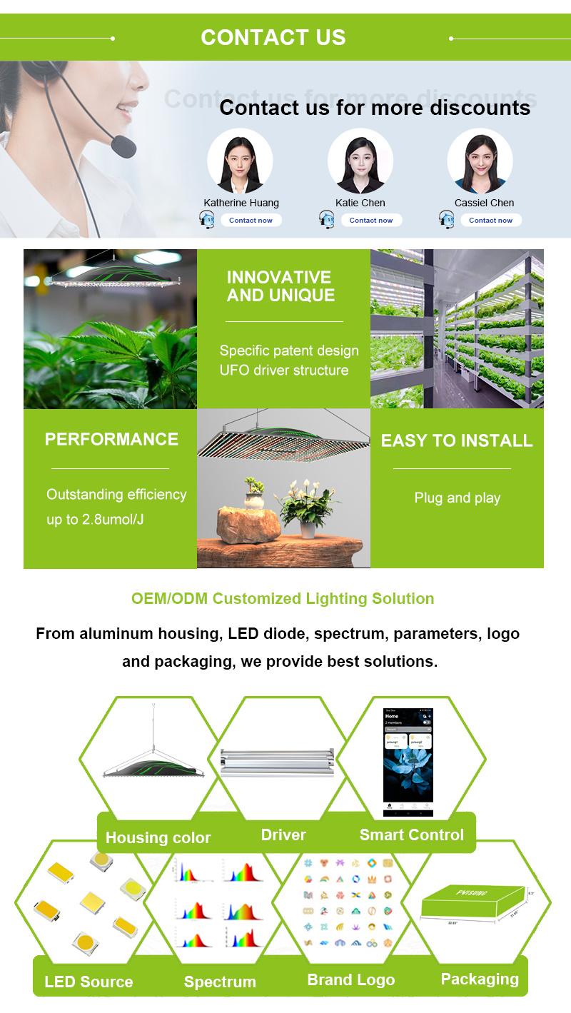 Replacing HPS ODM CE ETL RoHS Dlc High Ppfd Seeding Veg Bloom Greenhouse Light LED Grow Light Grow Light LED