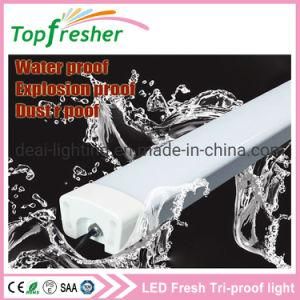 Ceiling Lamp Fixture 60W 1200mm IP65 LED Tri-Proof Tube Light