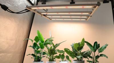 2021 New Arrival LED Full Spectrum 1000W 1200W Grow Light for Indoor Plants