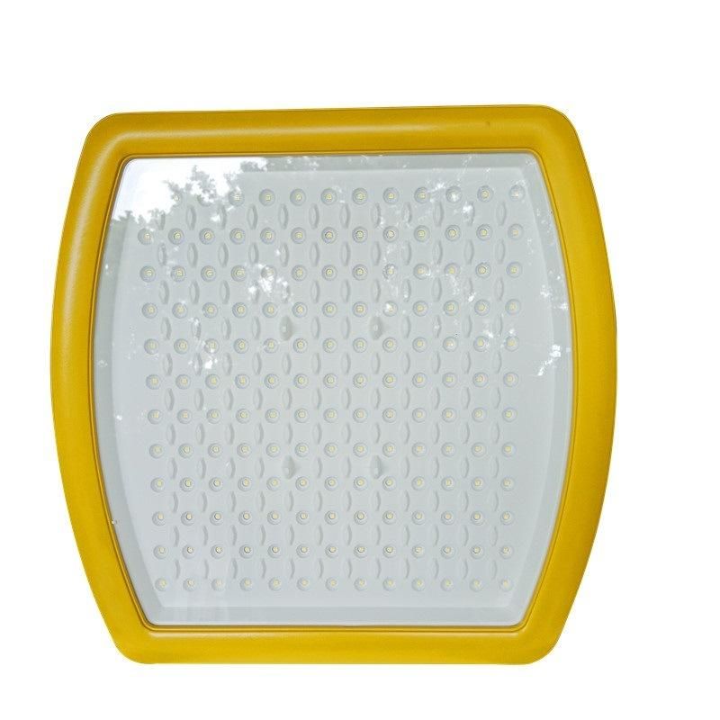 IP65 IP66 Ik09 Iecex UL844 Listed 6500K High Efficiency Symmetrical Light Distribution 145lm/W 100W 120W Ex Modern High Bay Explosion-Protected Flood Light