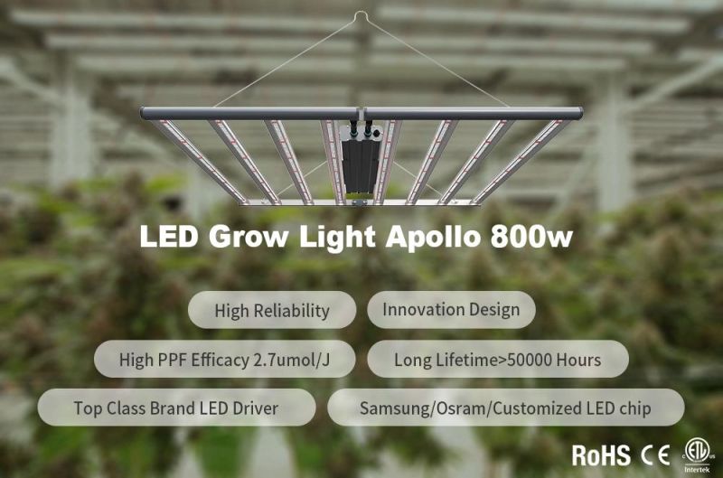 ETL Certified Commercial Full Spectrum Best LED Vertical Grow Lamp 8bars 800W 0-10V for Indoor Plants Dimmable Daisy Chain