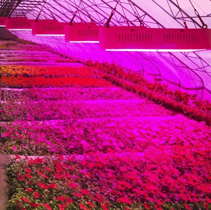 Newest Full Spectrum 600W LED Grow Light for Greenhouse/Garden