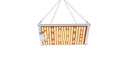 Quantum 100W LED Grow Light with High Ppfd Value