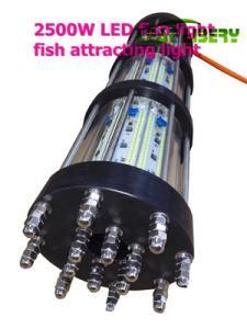 Ultra Bright Light Sea Fishing, Sea Light Bowfishing, Deep Sea Fishing LED Lights