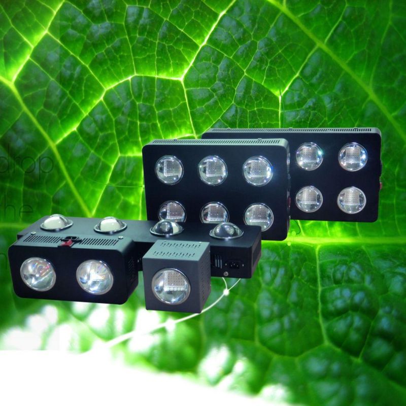 IP54 Rating High Quality 1000W COB LED Grow Light Greenhouse Garden