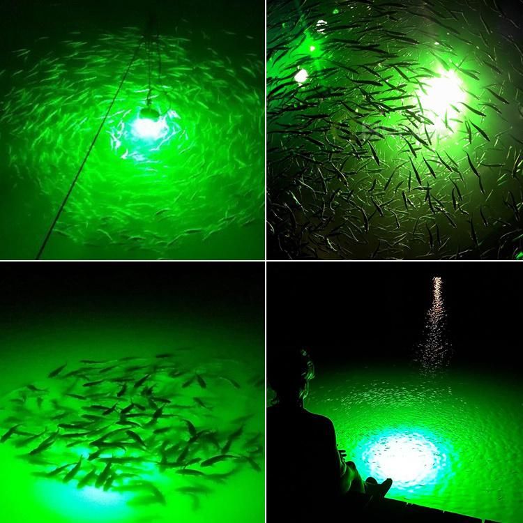 Ice Fishing Tool 12V 100W Float LED Green Underwater Fishing Signal Light with 10-30 Meter Cable and Clips