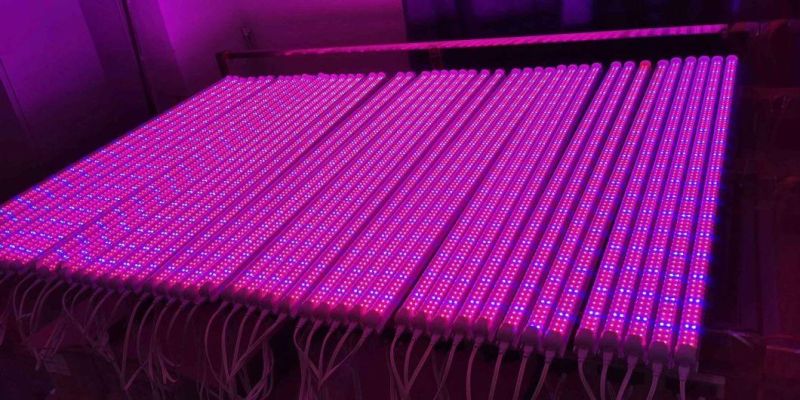 Greenhouse Hydroponic Aeroponic System Full Spectrum LED Grow Light
