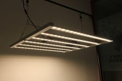 Full Spectrum LED Grow Light for Commerical Horticulture and Medical Plants