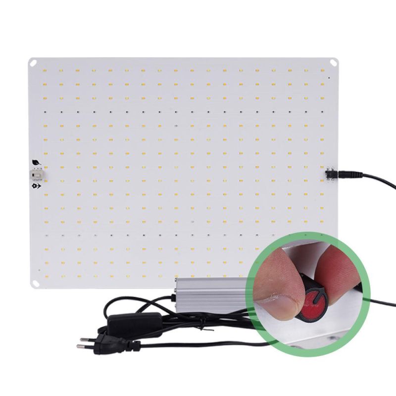 Good Service in The Greenhourse 100W LED Groth Light with UL Certification