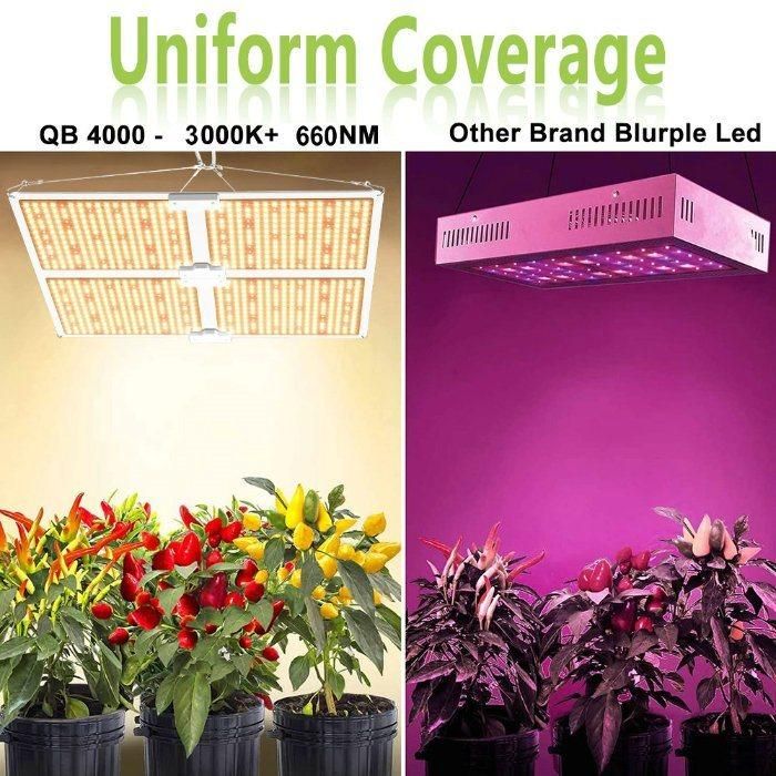 Sf4000 Commercial Lm301b Diodes Aluminum Qb 450W LED Grow Light