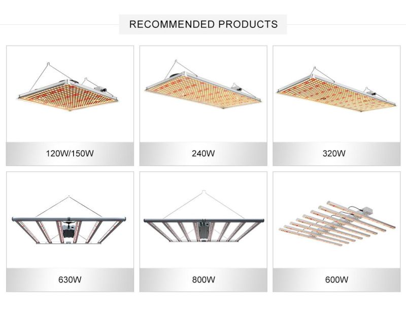 Romanso Dimmable Hydroponic Lighting Systems Safety Durable Grow Lights Spectrum High Reliability LED Plant Grow Light 120W 150W 240W 320W