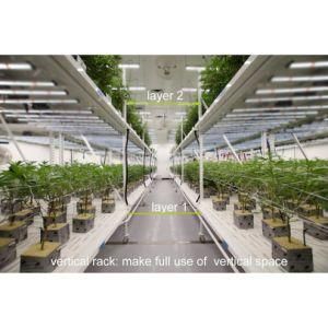 Top Selling Slt 600W 800W 1200W 1500W LED Grow Light Bar Plant Lighting for Medical Farm, Greenhouse