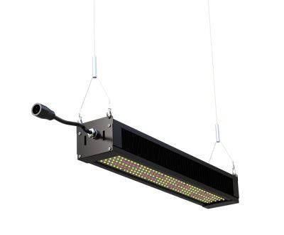 Lumin 320W 660nm 3500K 5000K LED Grow Light for Indoor Horticulture Greenhouse