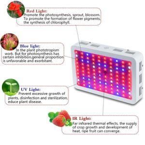 Wholesale Price LED Grow Light Hydroponic LED Plant Growth Light