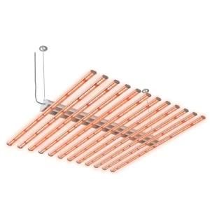 Samsung Epistar Best Sale OEM Full Spectrum 1000W LED Grow Light for Hydroponics
