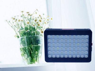 Shenzhen Lighting 300W 600W 1200W Gip Full Spectrum LED Plant Grow Lights