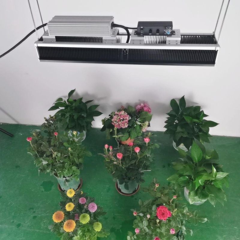 320W Samsung Lm301h 301b Linear High Bay LED Grow Light for Commercial Greenhouse