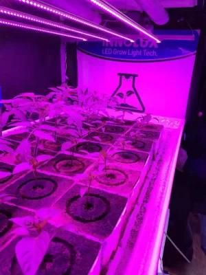 Full Spectrum Red Tube LED Grow Light Lamp Garden Light for Agriculture